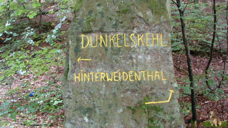 Ritterstein Nr. 216-1 Dunkelskehl Hinterweidenthal 208 M ÜNN.JPG - Ritterstein Nr.216 Dunkelskehl 208 M üNN